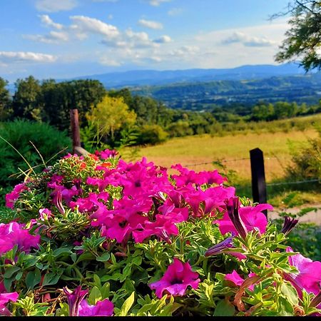 Kuca Za Uzivanje Valjevo Dış mekan fotoğraf