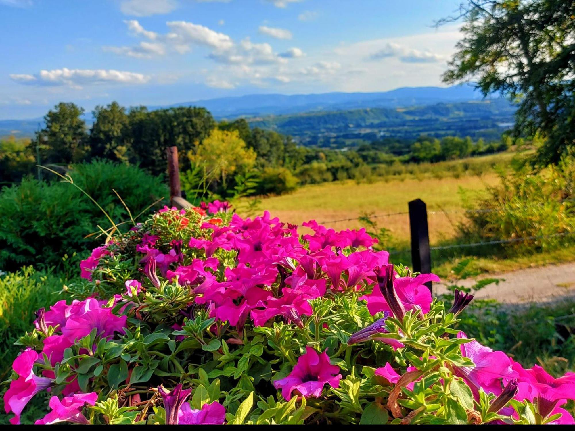 Kuca Za Uzivanje Valjevo Dış mekan fotoğraf